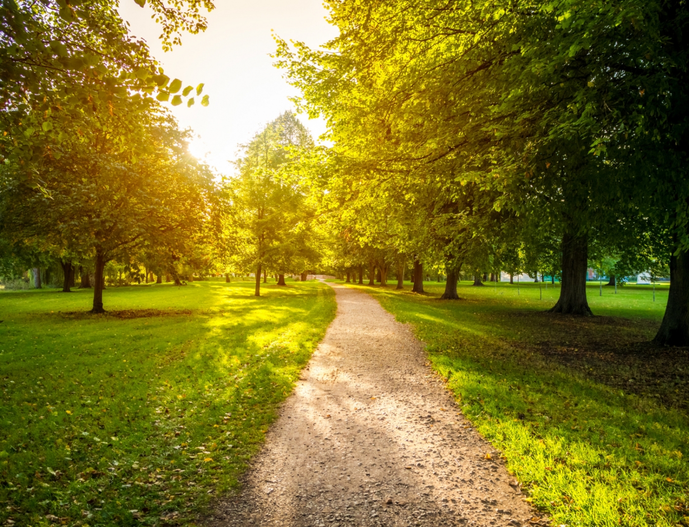 Ratajski Park w Poznaniu stanie się bardziej zielony dzięki przeznaczonym środkom budżetowym